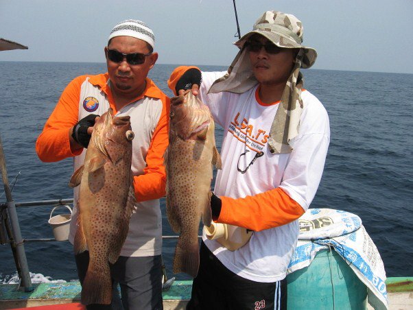 Harga Ikan Haruan Tasik : #Fishing #HaruanTasik #GabusLaut Haruan Tasik