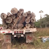 Esteliano pierde la vida por un tronco de madera.