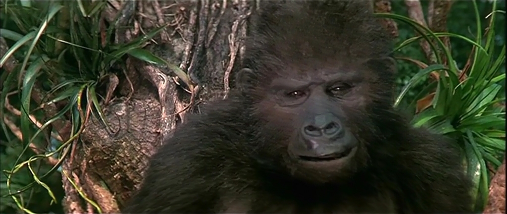 King Kong lives |1986|DVDRip|latino