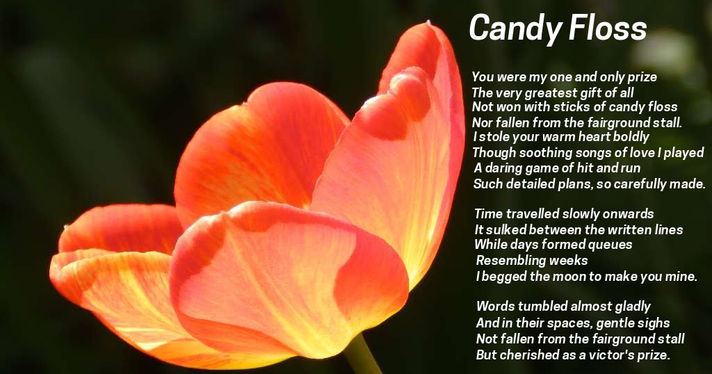 Michael Bowman Poetry Candy Floss