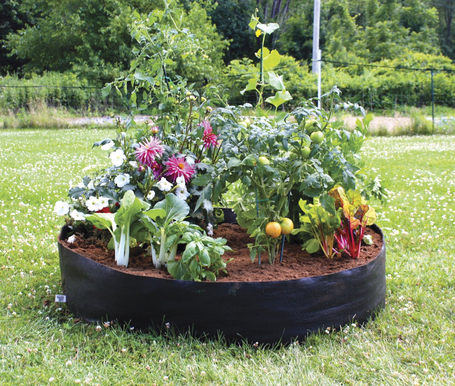 Amazon Raised Garden Bed Amazon Raised Garden Bed