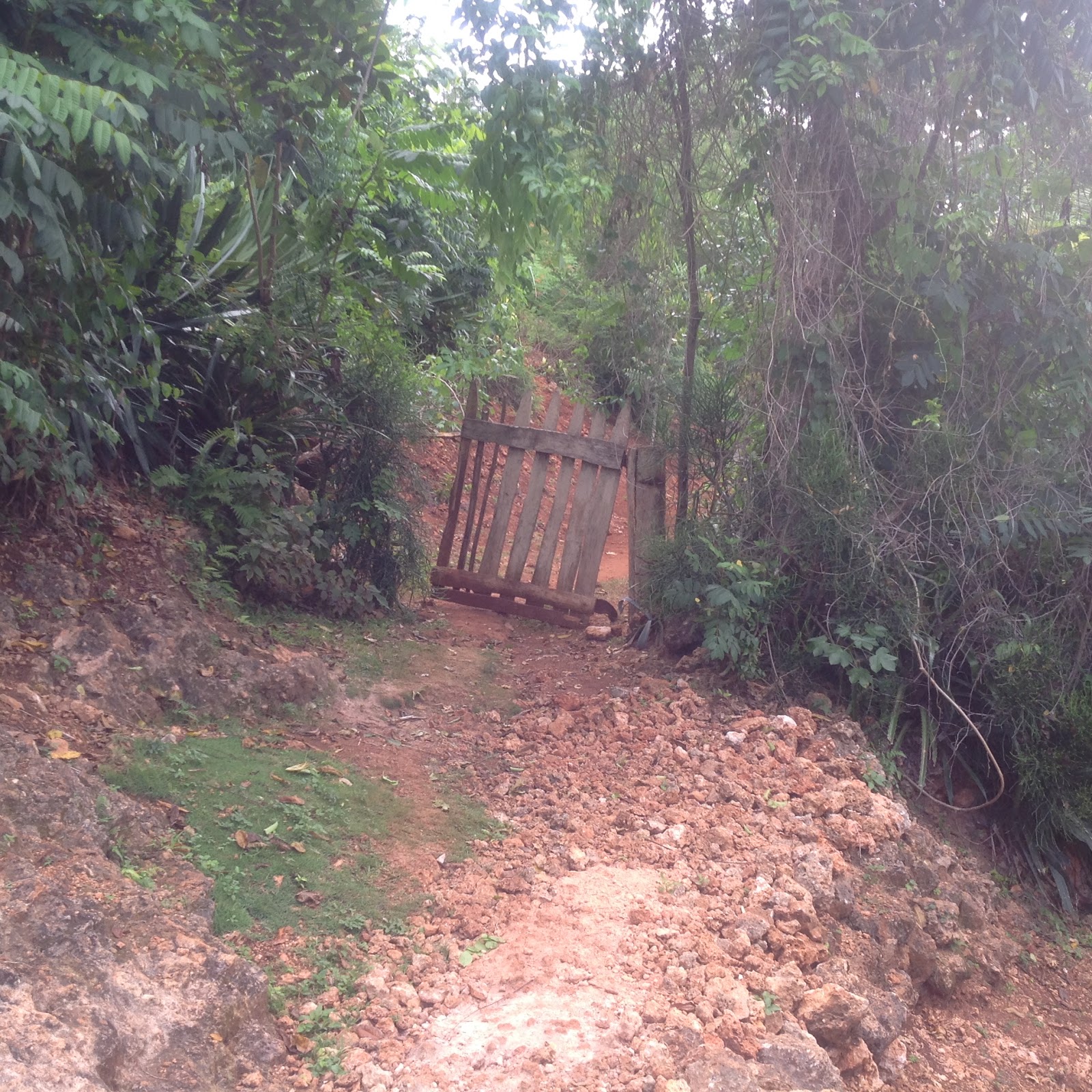 Pressing Toward The Mark Choosing The Narrow Gate