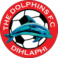 THE DOLPHINS FC