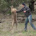 Se enfrenta a un canguro para salvar a su perro (vídeo)