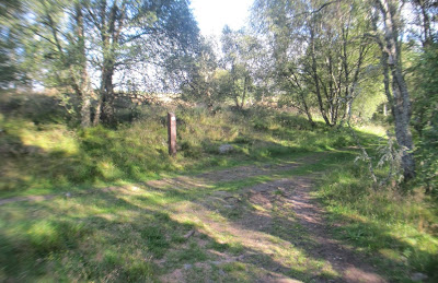 Junction in paths by Loch Kinord