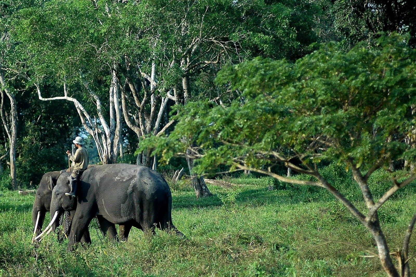 Wisata Taman Nasional Bali Barat - Bagian Info