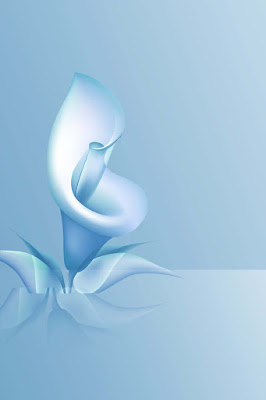 PSD Photo Backgrounds Collection Free Download PSD Photo Backgrounds