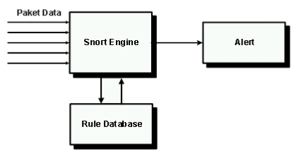 Networking Side: Interusion Detection System (SNORT)