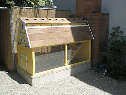 coop chicken yarnhog concrete painted
