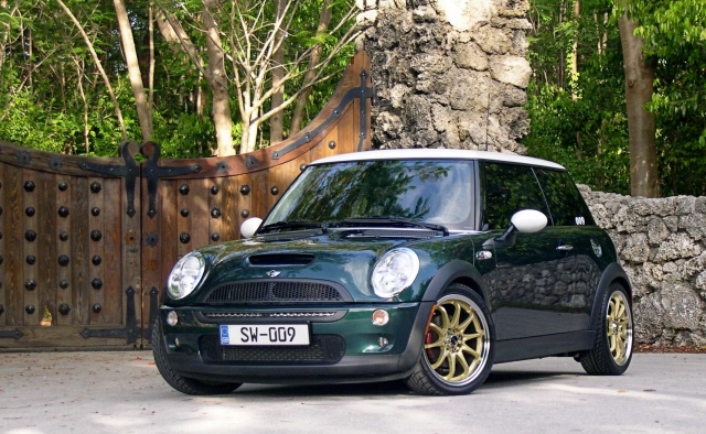 Проекция дверей Mini Cooper