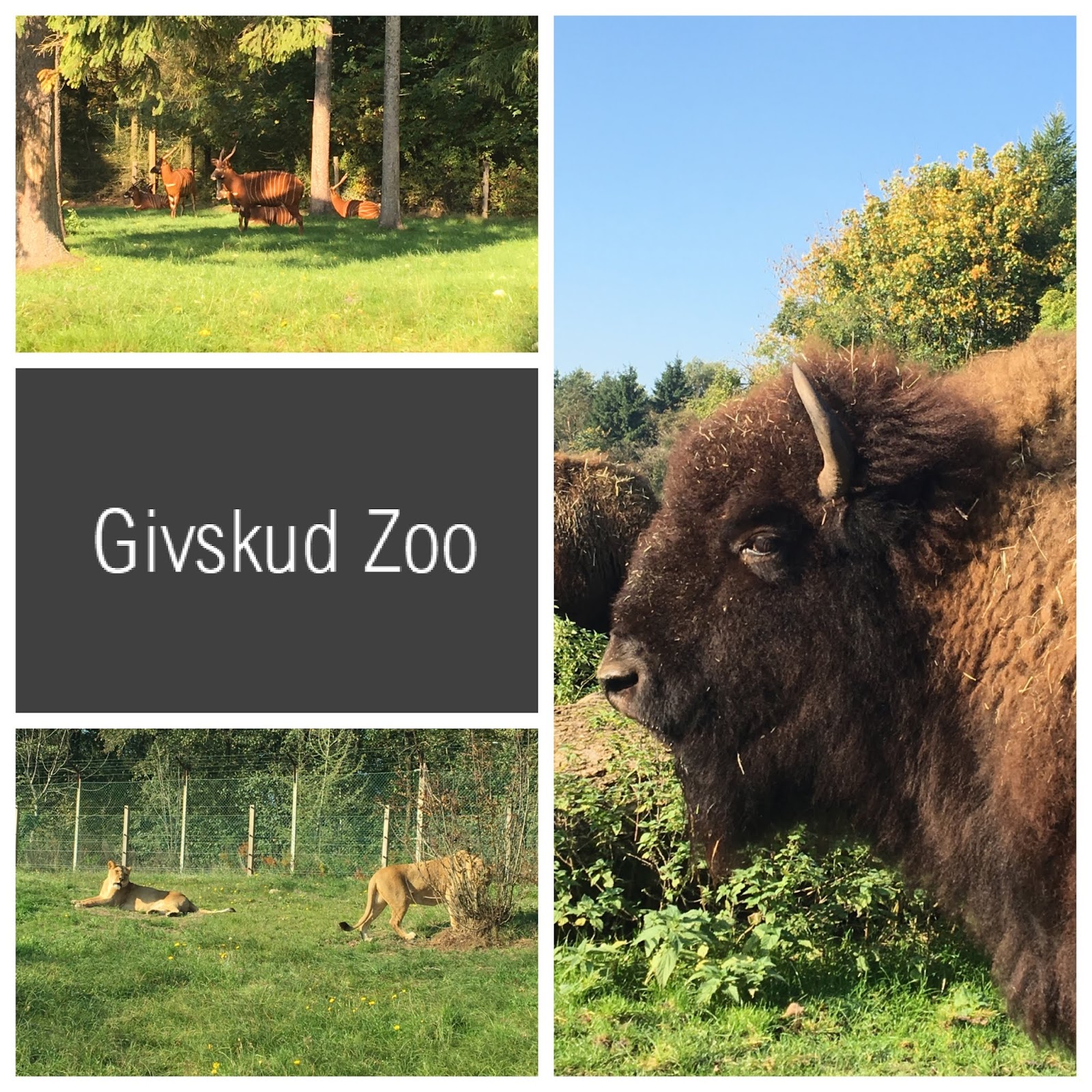 Kustenkidsunterwegs Pippi Langstrumpf Kunst Fur Kinder Und Ein