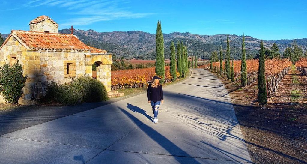 Napa Valley attractions in California 6 Most Beautiful Spots to Vacation in California