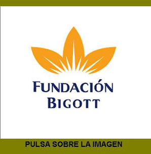 Fundación Bigott