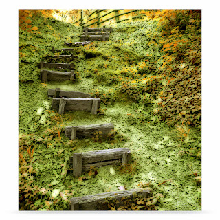 Hd Wallpapers Free Download: HD Wallpapers Free Download Photoshop