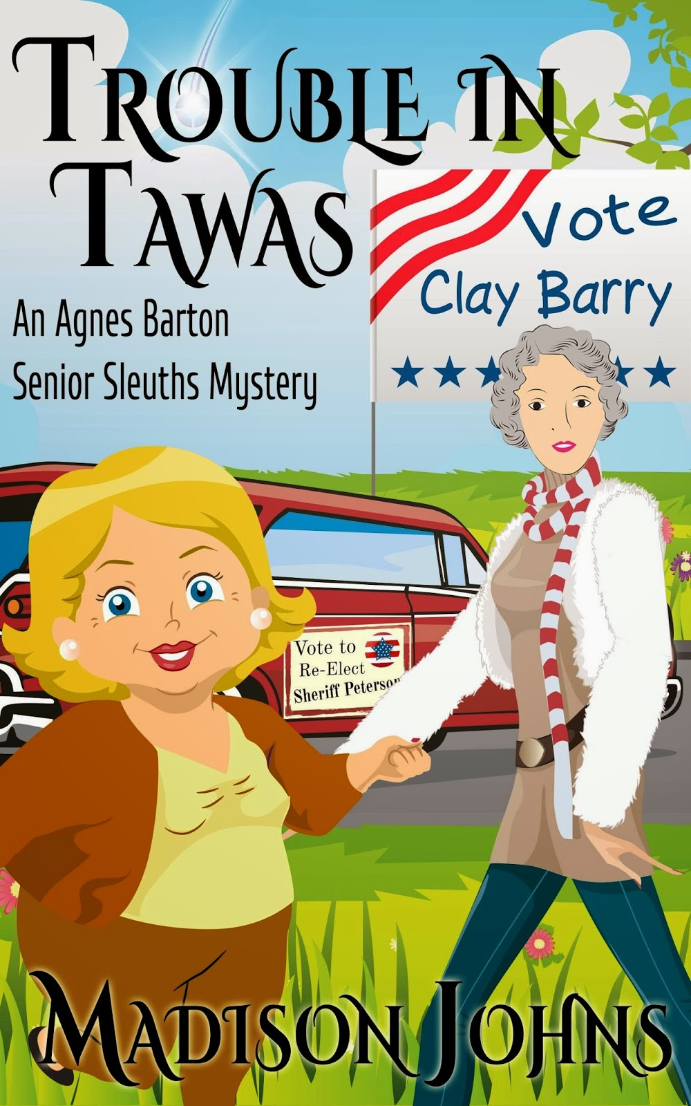 USA Today Bestseller Madison Johns Agnes Barton Mysteries