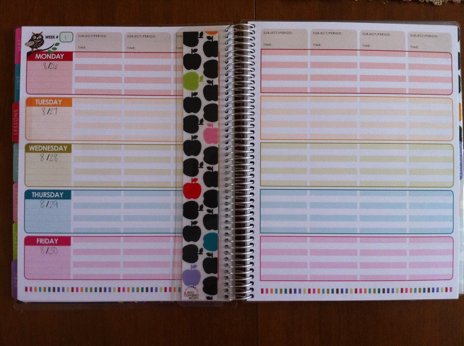 Spectacular 2nd Grade Erin Condren Teacher Planner Review Updated