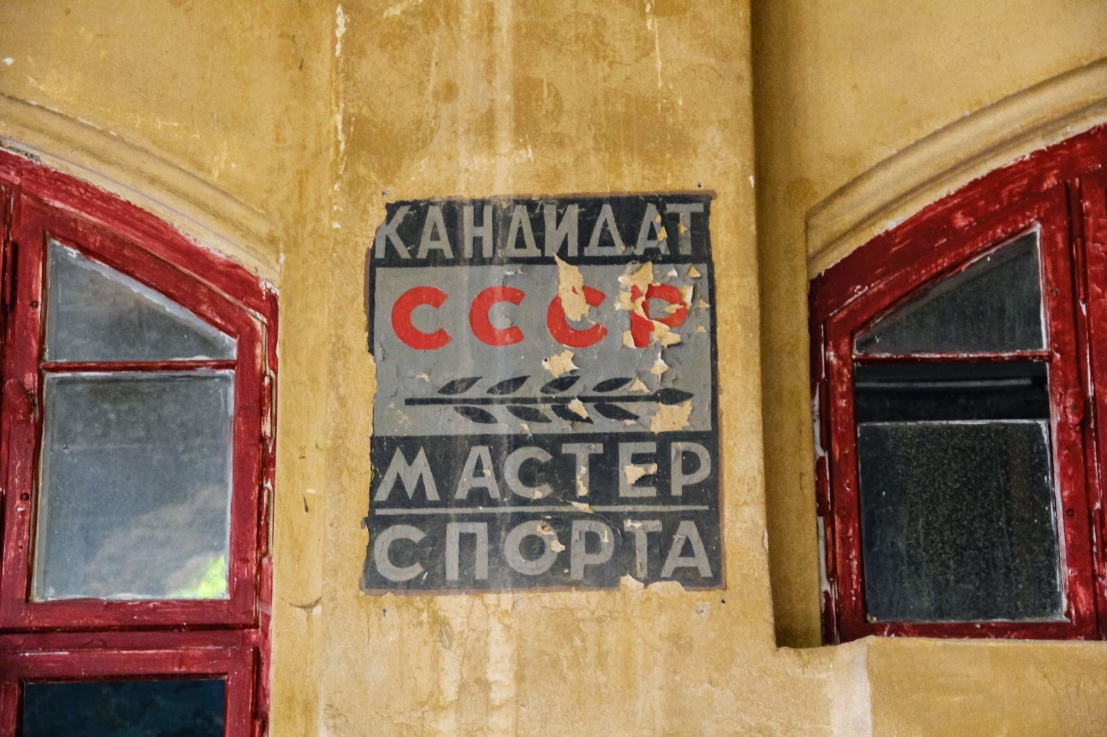 Single beelitz