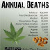Fakta Unik Tentang Ganja Yang Jarang Diketahui Orang Fakta Unik Tentang Ganja Yang Jarang Diketahui Orang