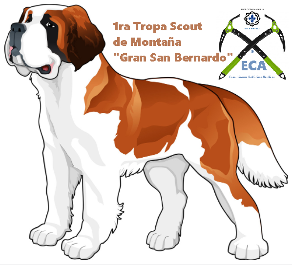1ra Tropa Scout de Montaña “Gran San Bernardo”