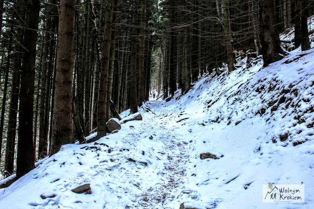 Czeskie góry zimą