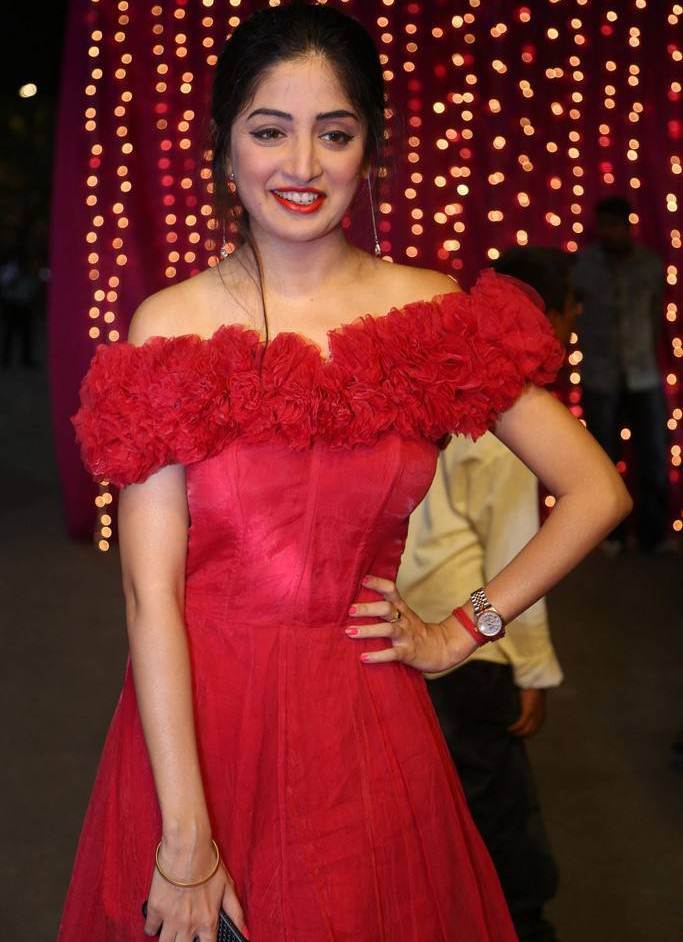 Poonam Kaur At Zee Telugu Apsara Awards 2017 In Red Dress