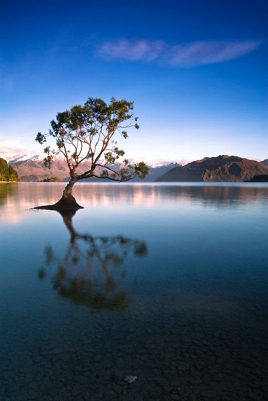Lock-Up - Lake Wanaka, New Zealand Lock-Up - Lake Wanaka, New Zealand