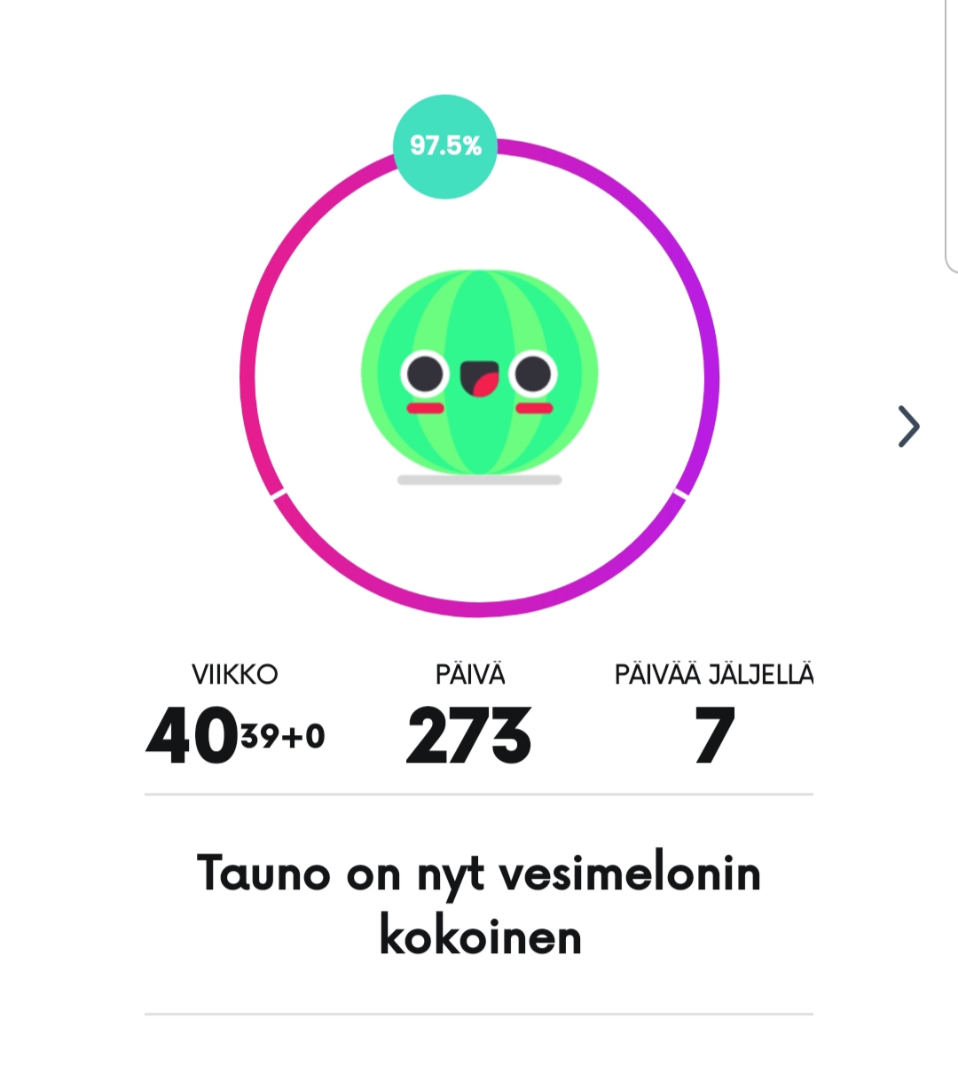 Diabetes raskaus litalgin