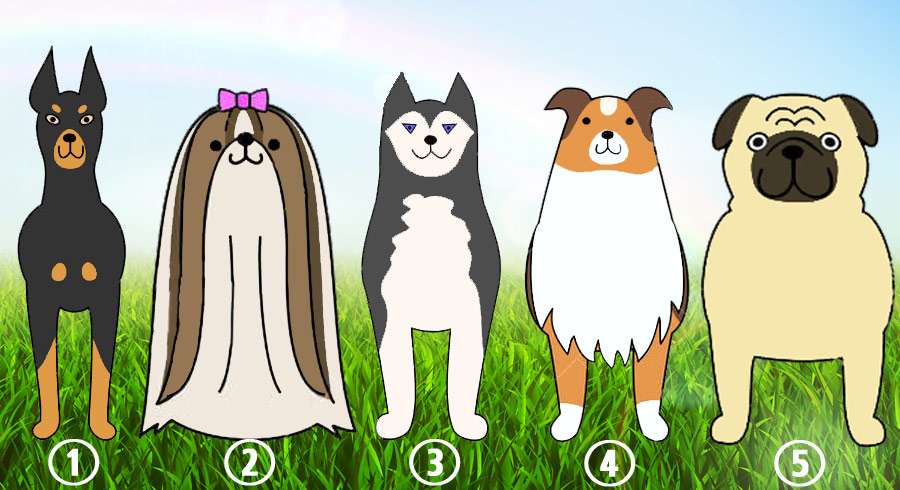 Test: ¿Cuál perrito piensas que es más fiel? Tu elección revelará qué valores crees más importantes para ti. Test: ¿Cuál perrito piensas que es más fiel? Tu elección revelará qué valores crees más importantes para ti.