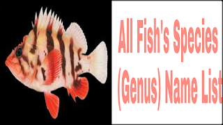 All fish's scientific name list