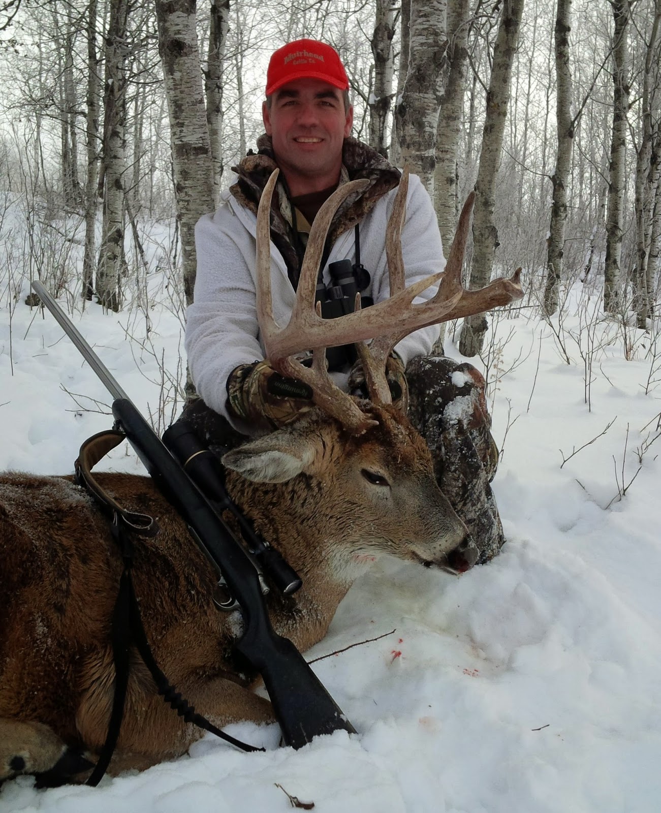 Whitetailed Deer Late Season Whitetailed Deer Buck