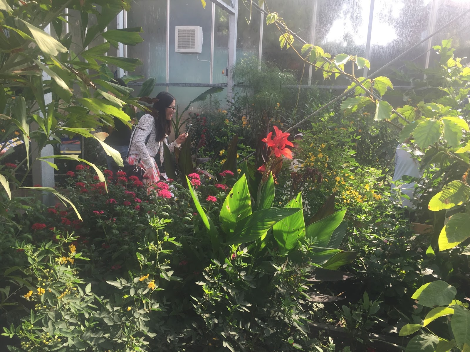 The Horniman Museum Butterfly House The Ark In Space