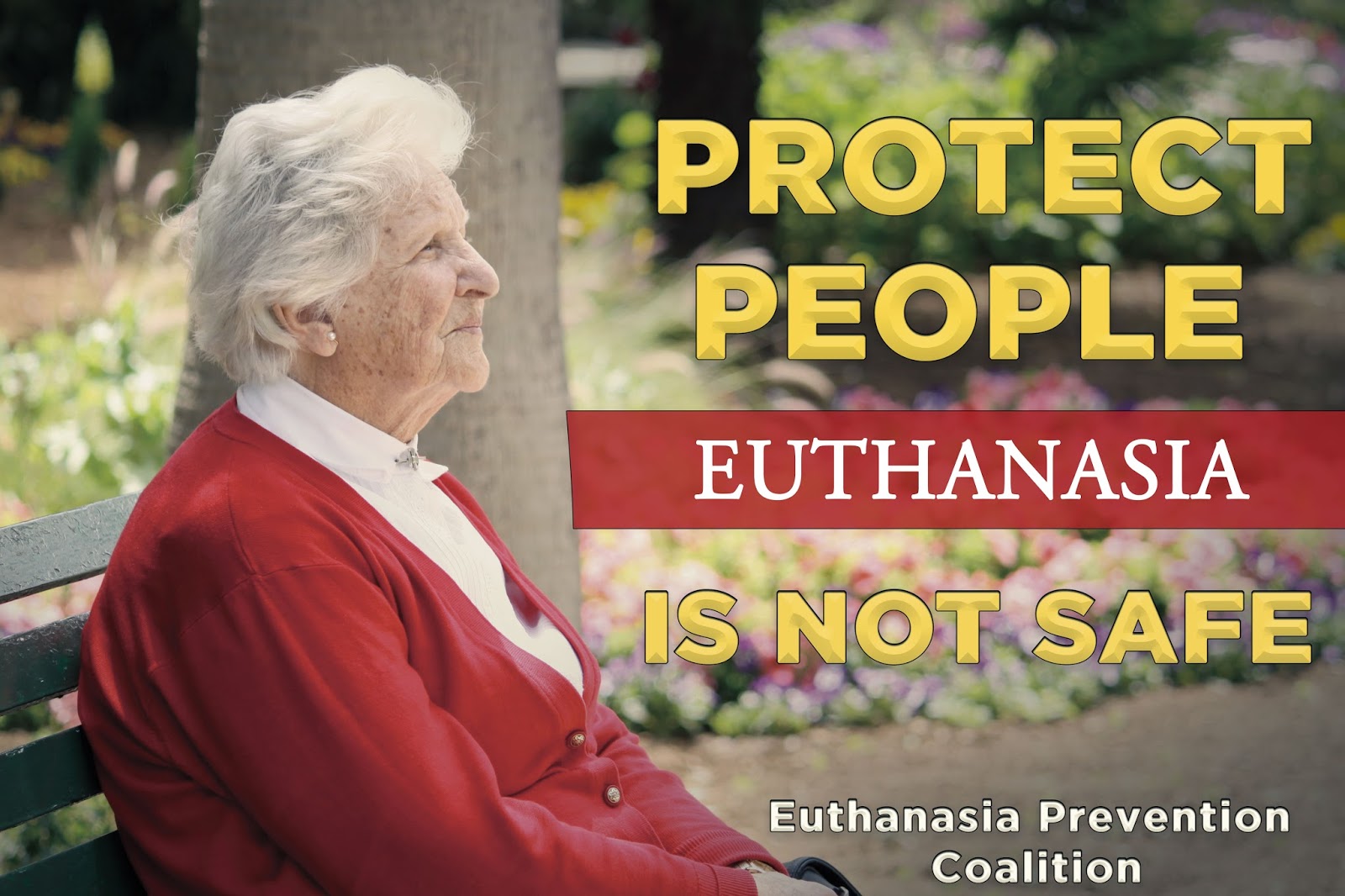 The Killer of Hope Euthanasia