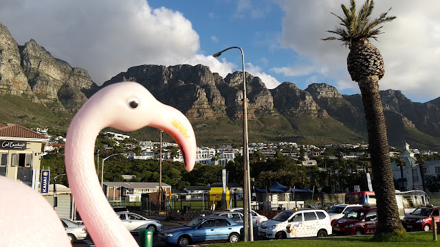 Plastic flamingo in Cape Town