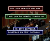 Shadowrun - The End