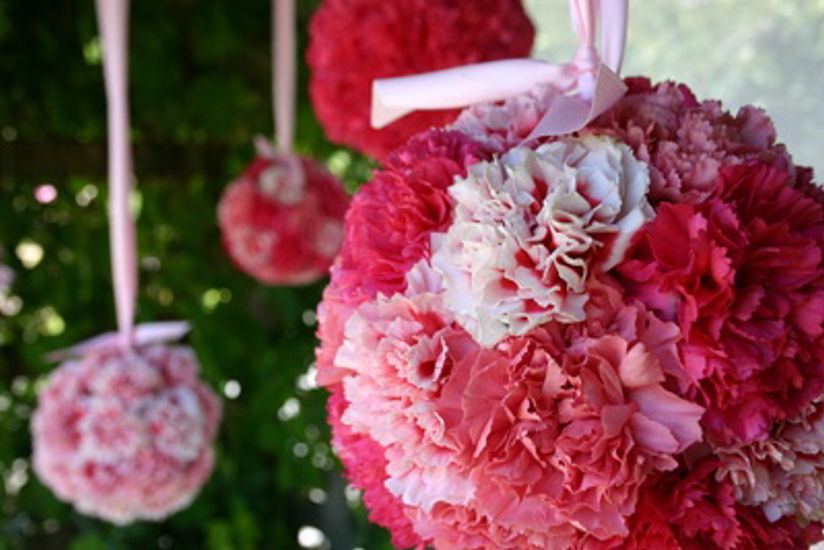 Budget Friendly Flower Inspiration Carnations