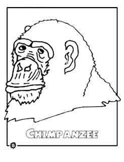 Chimpanzee Coloring Pages To Kids
