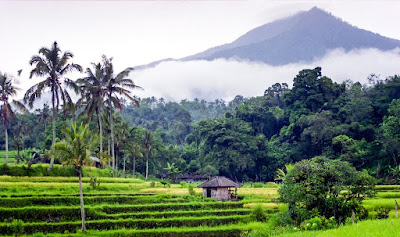 Jual rumah di Jogja Jual rumah Jogja