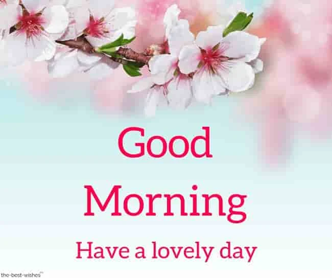 good morning have a lovely day picture