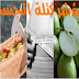 مؤشر كتلة الجسم (BMI) مؤشر كتلة الجسم (BMI)