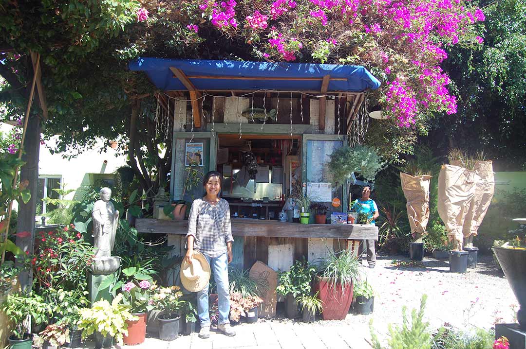 The Case For Local Nursery In September One Of My Favorite Nurseries San Go Closed I Understate That Cedros Gardens Was Not Just It