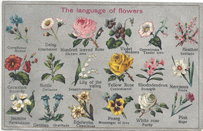 bahasa bunga floriografi