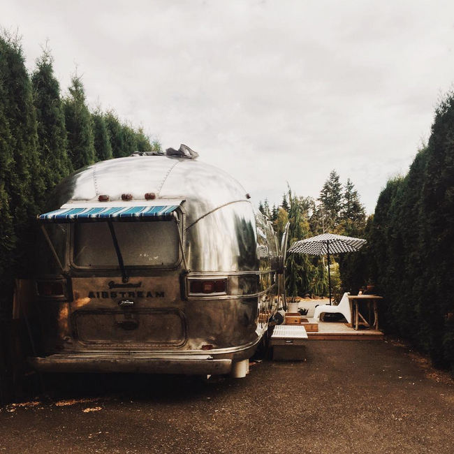 Insta Find Tin Can Homestead Poppytalk