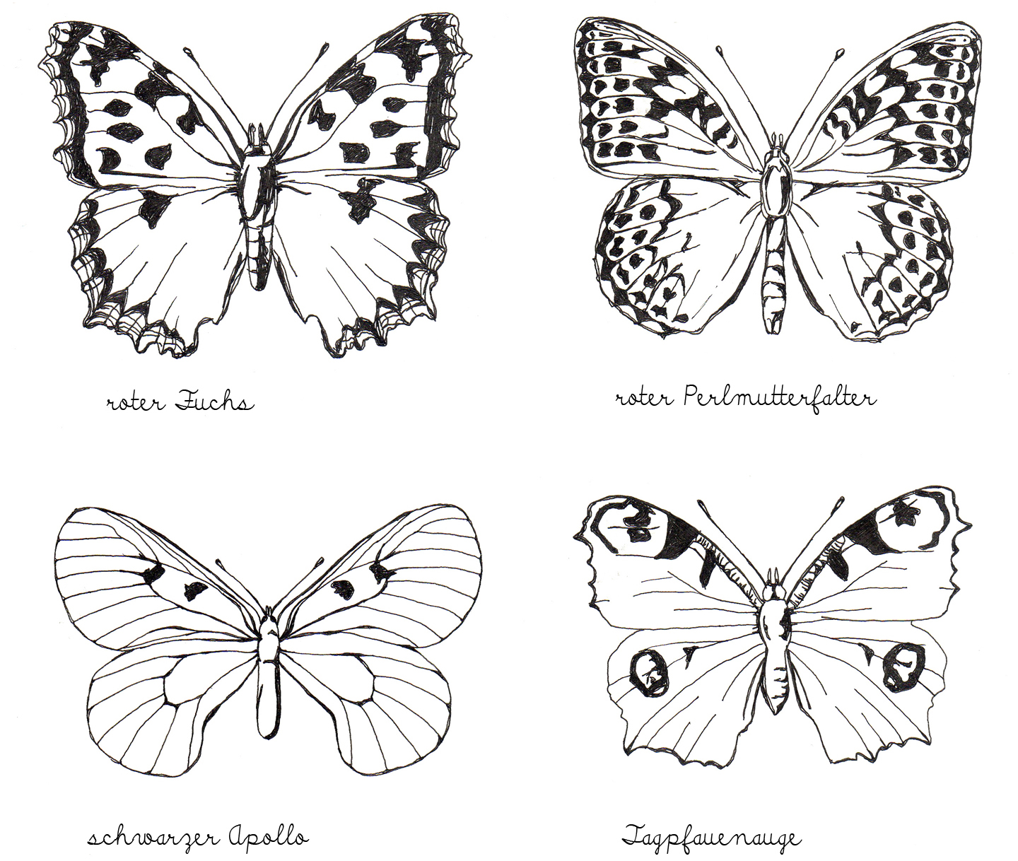 Alessas Blog: [illustration] Tagfalter