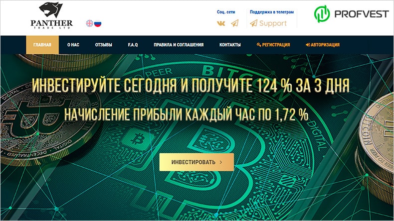 Panther-Trade: обзор и отзывы о panther-trade.com (мой вклад 300$) Panther-Trade обзор и отзывы HYIP-проекта