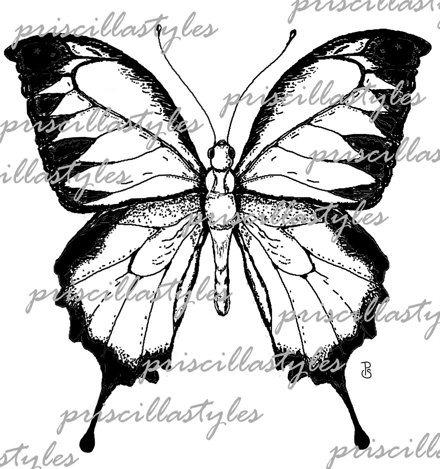 Butterfly For Watermark Okay Wallpaper