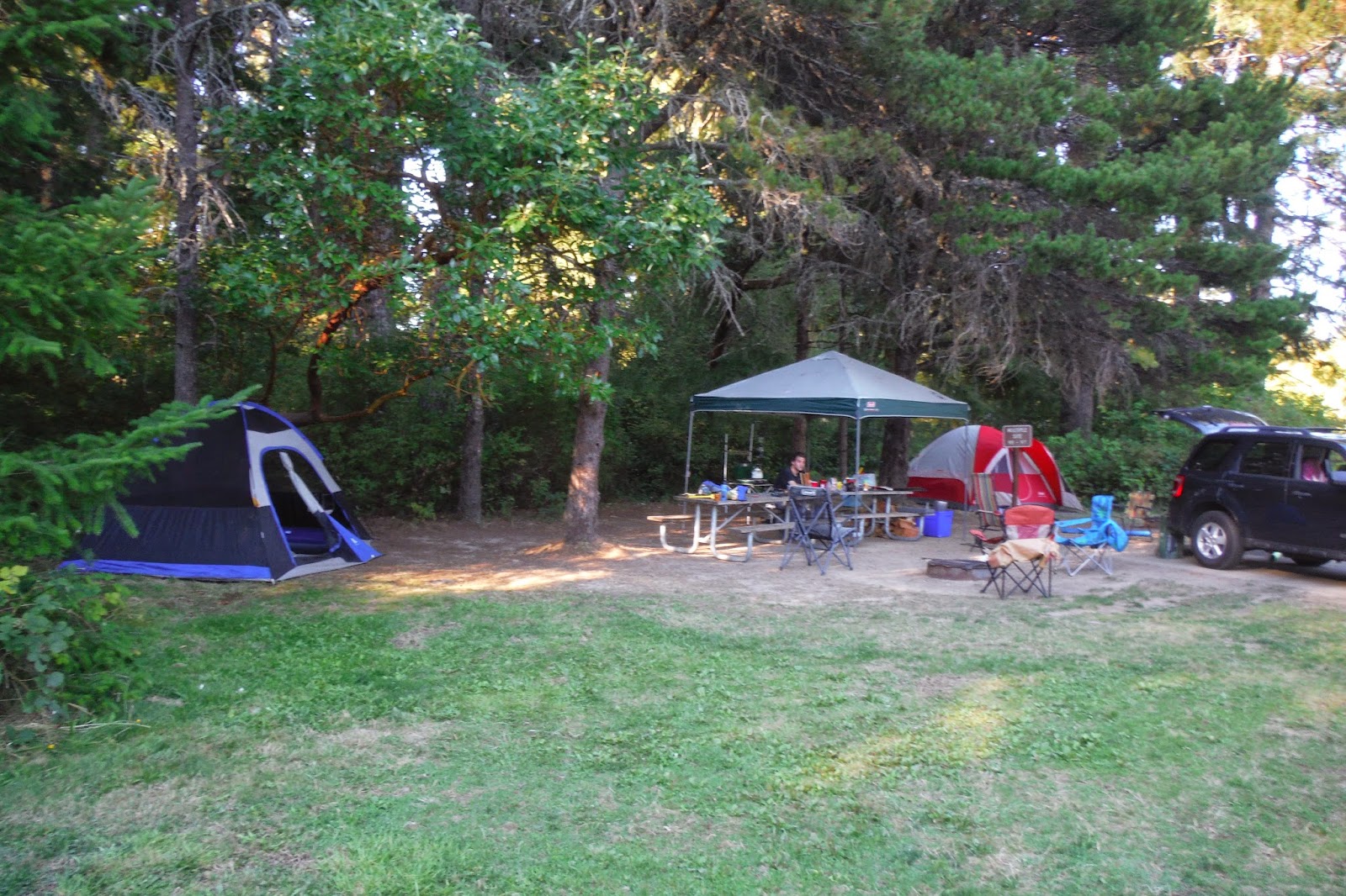Observations From On The Road Camping Belfair State Park, WA