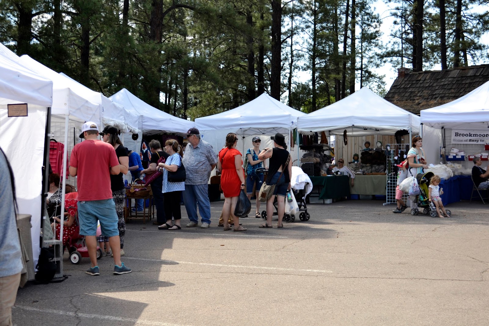 Tangible Daydreams: Flagstaff Fiber Festival, and escaping the heat
