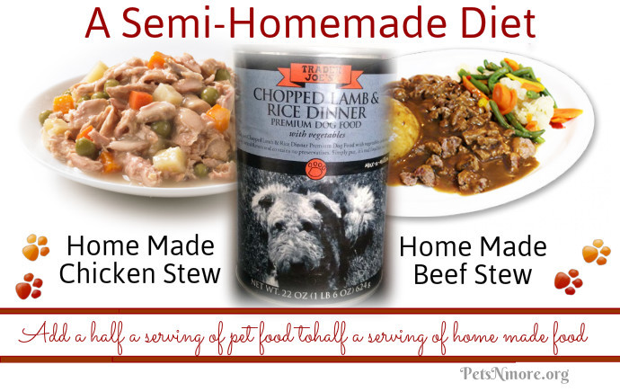 Homemade Foods For Dogs With Kidney Disease Homemade Foods For Dogs With Kidney Disease