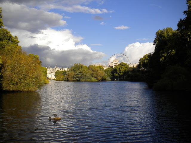 DSCN1133.JPG