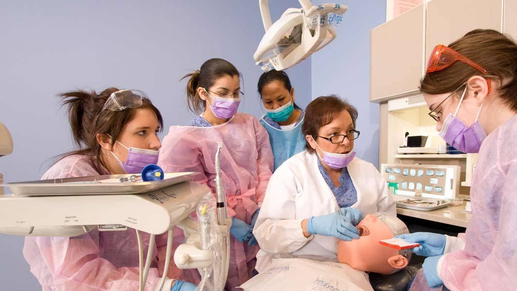 Dental Assistant Dental Assisting Requirements Assistant